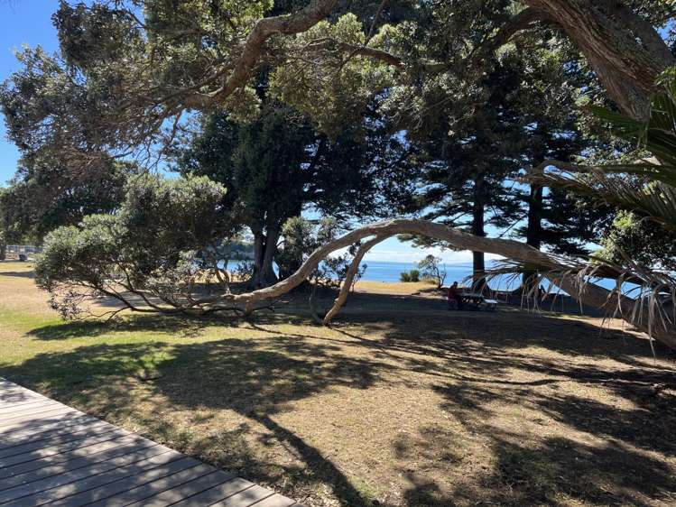 65 Clyde Road Browns Bay_5