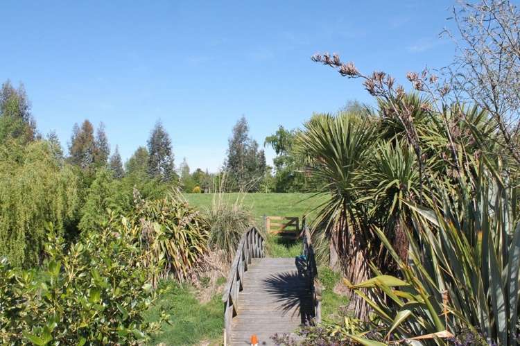 95 Harnetts Road Kaikoura_12