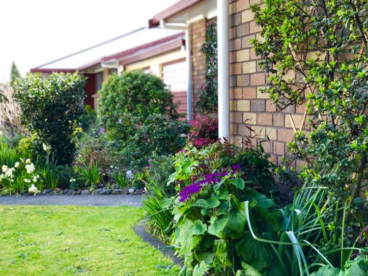 2/107 Carlton Street Te Awamutu_4