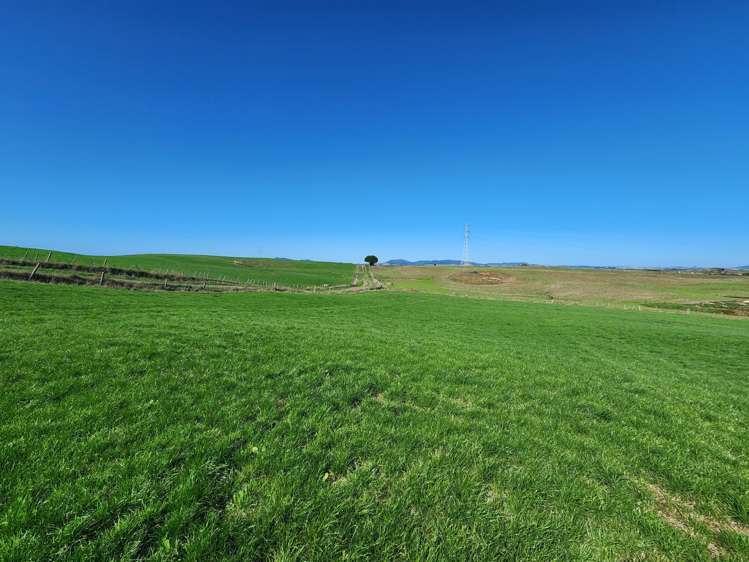 579 Hetherington Road Rotongaro_11