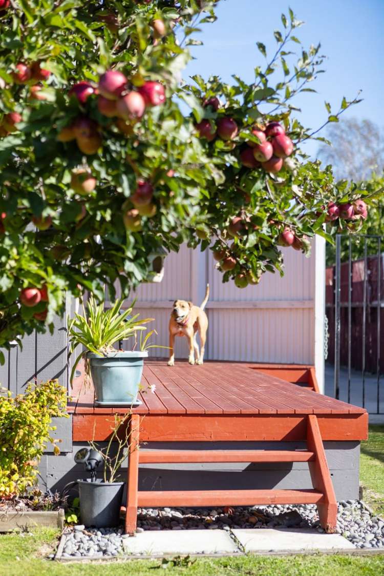 20A Tiora Place Upper Riccarton_27