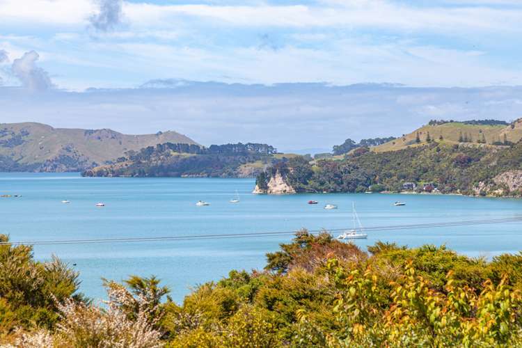 290 Wyuna Bay Road Coromandel_19