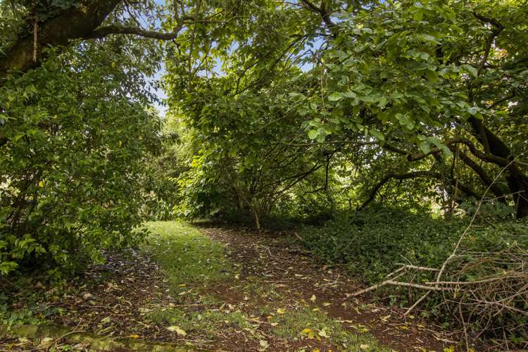 45 Poland Street Waikino_2