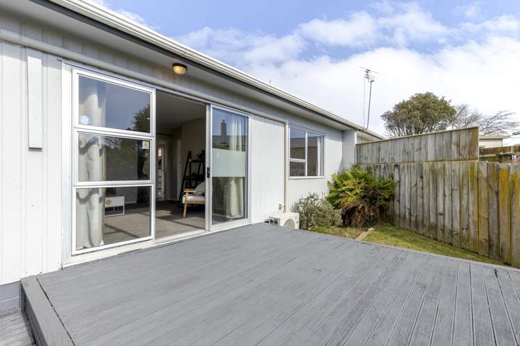 4/311 Carrington Street Vogeltown_4
