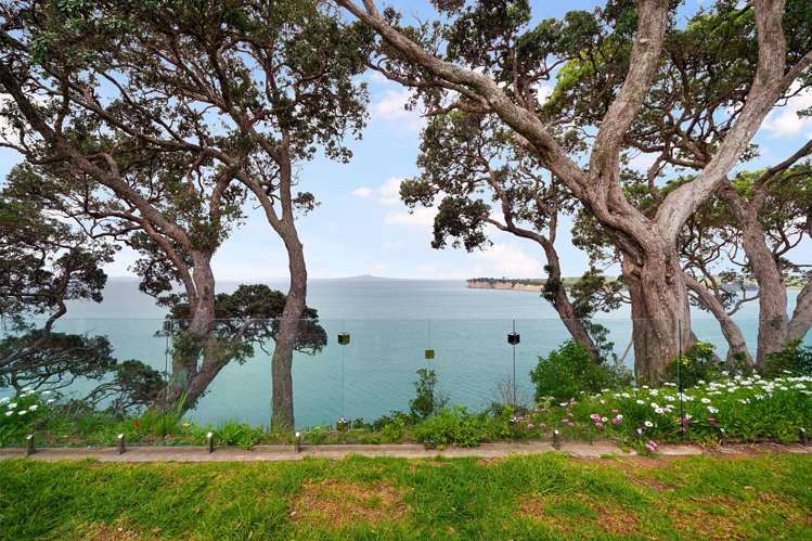 16 Palm Cove Arkles Bay_2