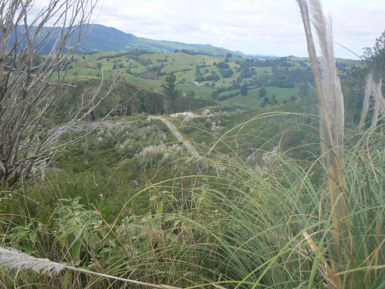 Mangatoetoe Road Kaitaia_12