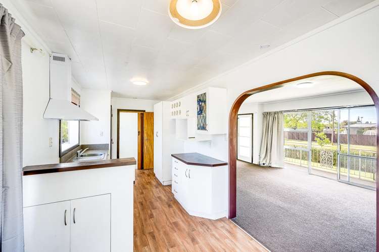 5 Plunket Street Tamatea_6