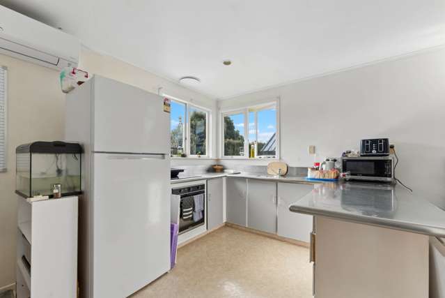 93a Mead Street Avondale_4