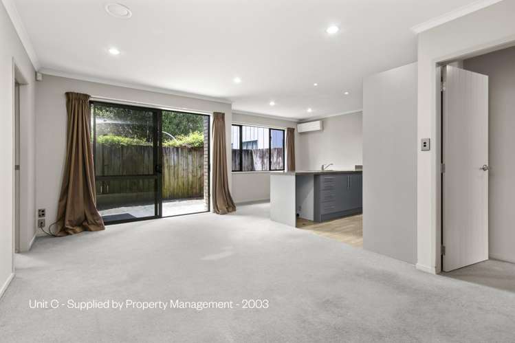 127A-E Massey Street Frankton_11