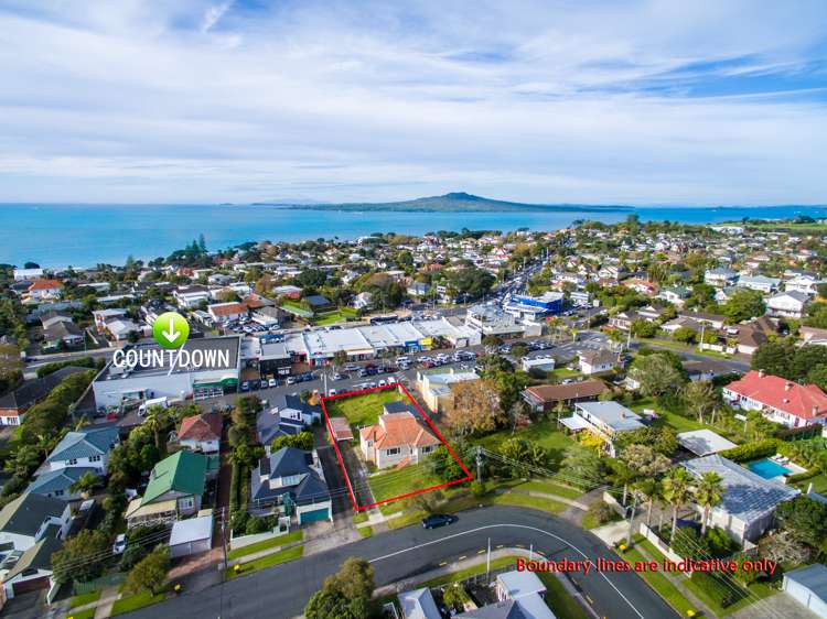 10 Purchas Road Hauraki_1