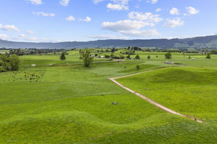 289/296 Tauranga Road Matamata_18