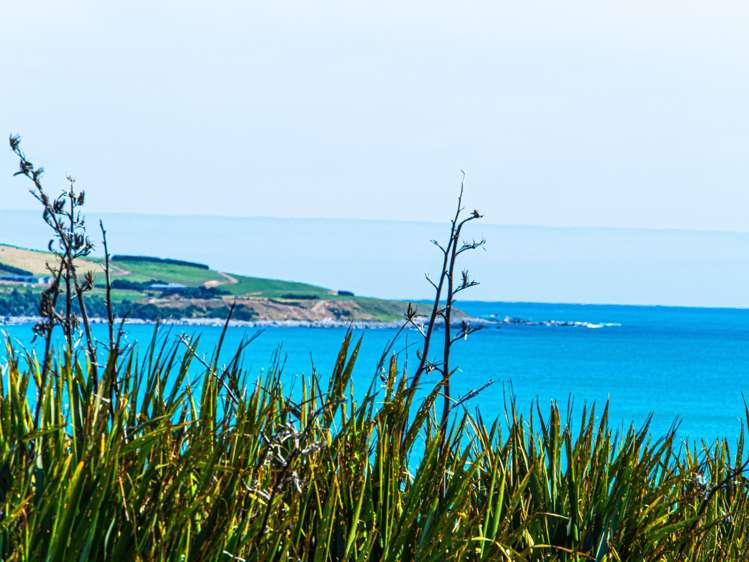 1 Surrey Street Orepuki_15