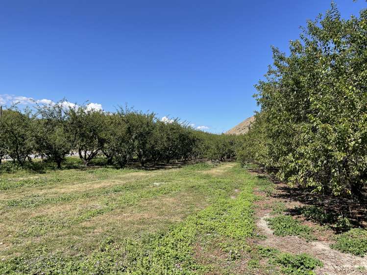 4.0541ha, 0 Ettrick-Raes Junction Road Millers Flat_3