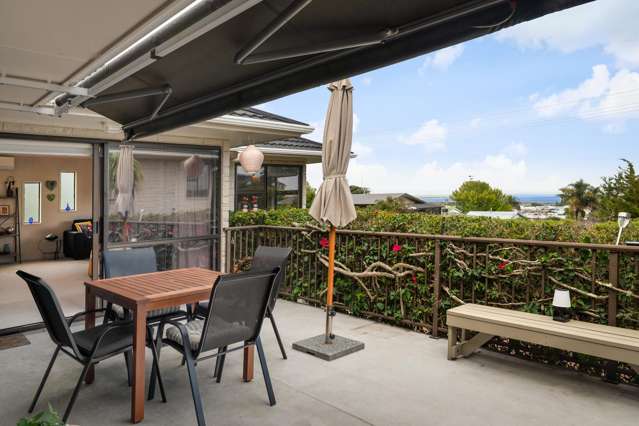 400 The Terrace Thames-coromandel_2