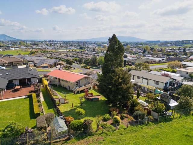 506 Picquet Hill Road Te Awamutu_4