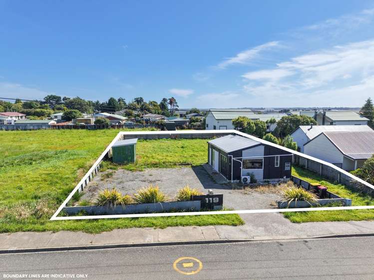 119 Wicklow Street Clifton_10