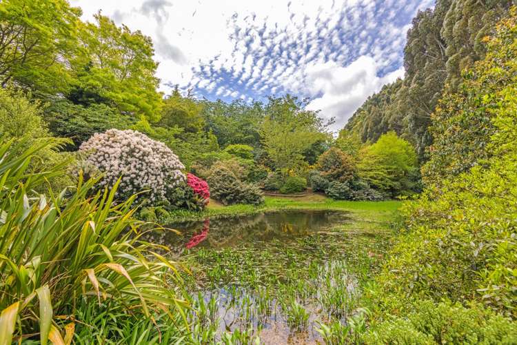 42 Haggerty Street Kimbolton_23