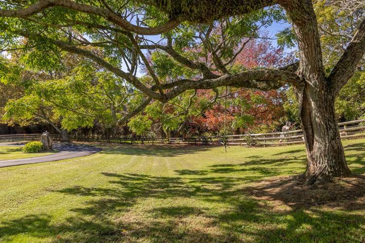 171 Annandale Road Taupaki_1