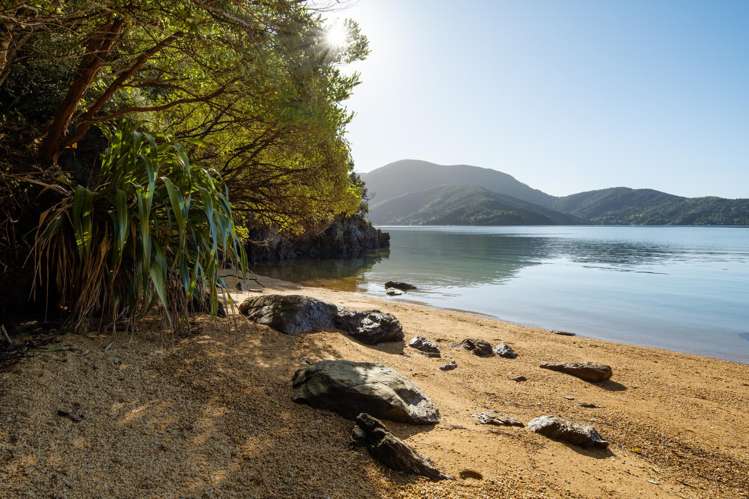 Cherry Bay, Ruakaka Bay Marlborough Sounds_19