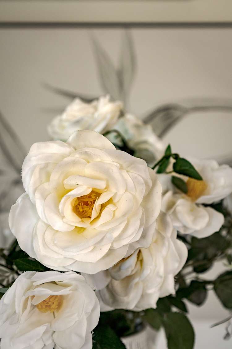 14d Hampstead Lane Prebbleton_21