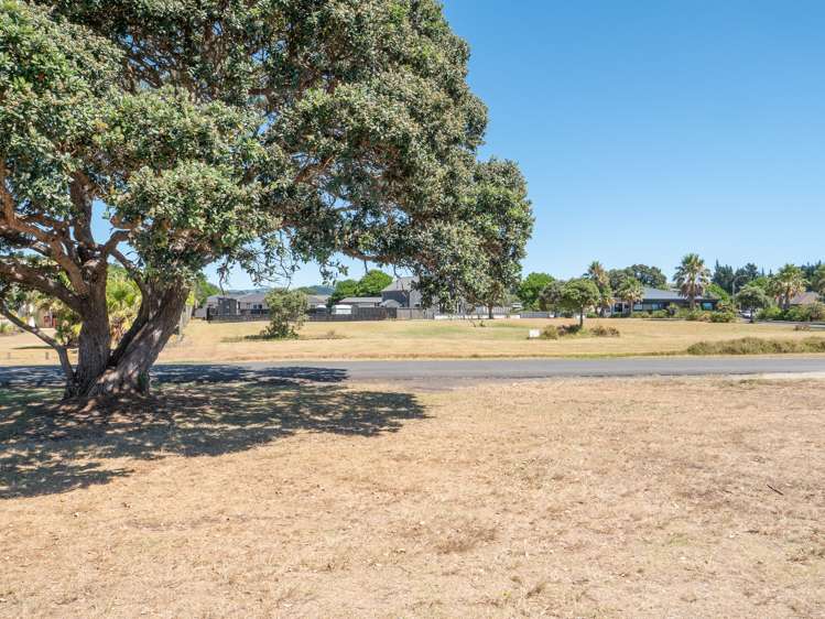 18 Flame Tree Lane Taipa_13