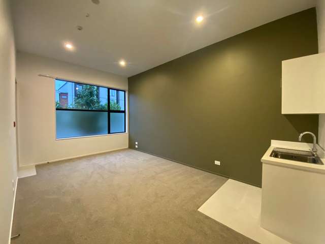 80 Hobsonville Point Road Hobsonville_1