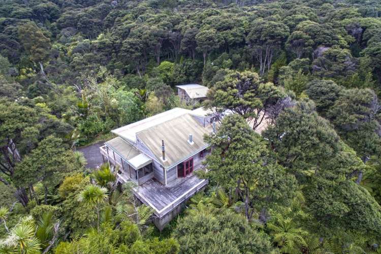 1212a Huia Road Huia_25