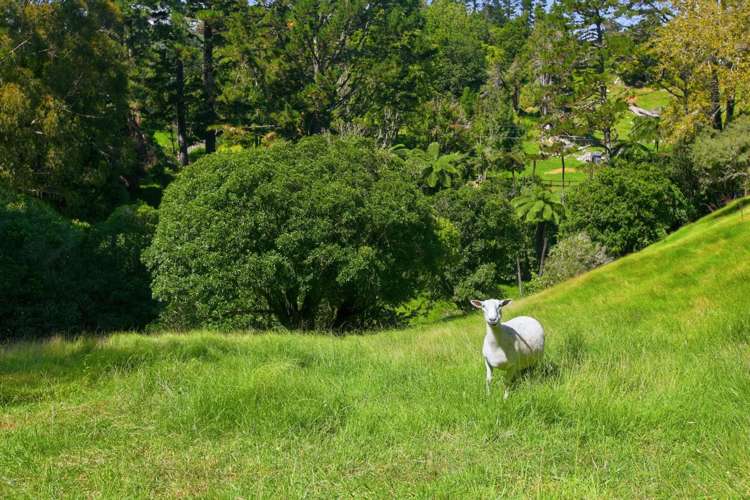 17 Ridgewood Drive Ridgewood_36