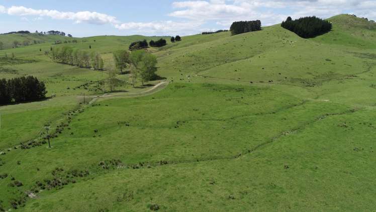 211 Parapara Road Taipa_5