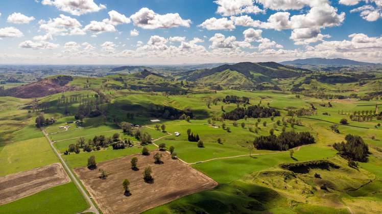 120 Pamotumotu Road Maihiihi_32