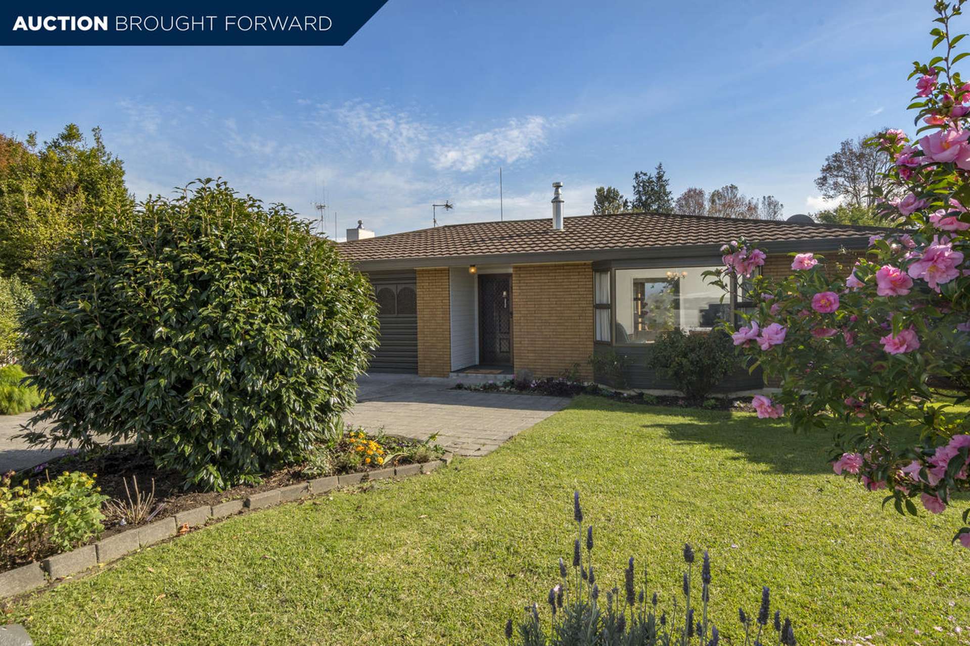 249 Levers Road Matua_0