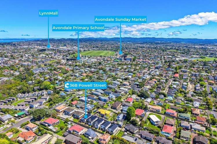 36B Powell Street Avondale_23