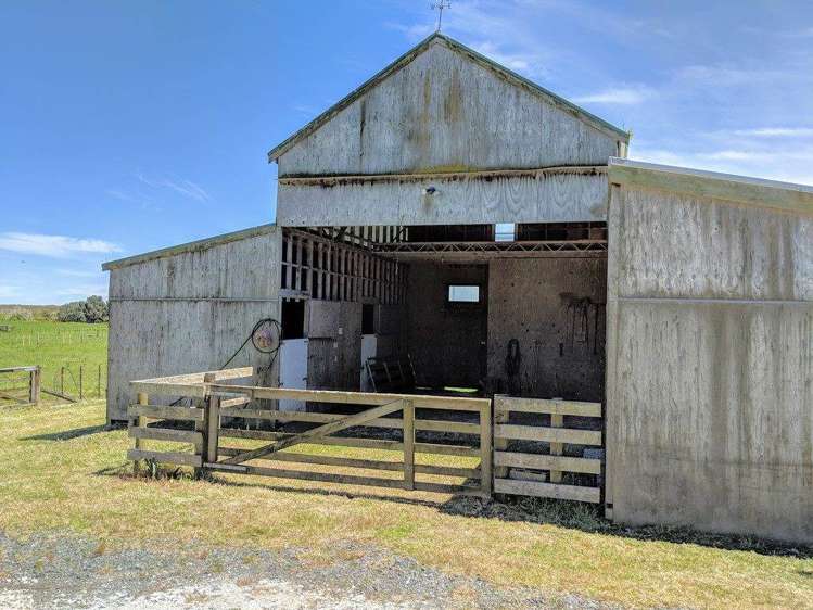 3483 Kaipara Coast Highway Glorit_17