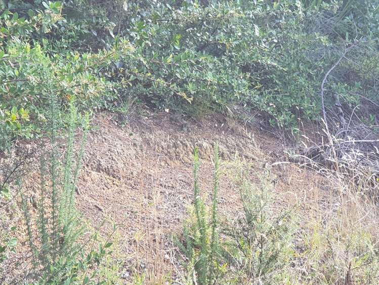 4C Moana Crescent Kennedy Bay_11