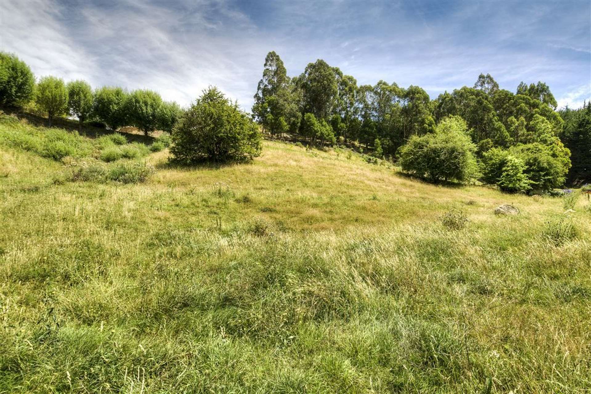 5 Ridgeway Terrace Taradale_0