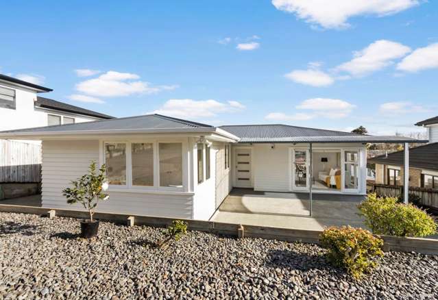 22 Ellis Avenue Mt Roskill_1
