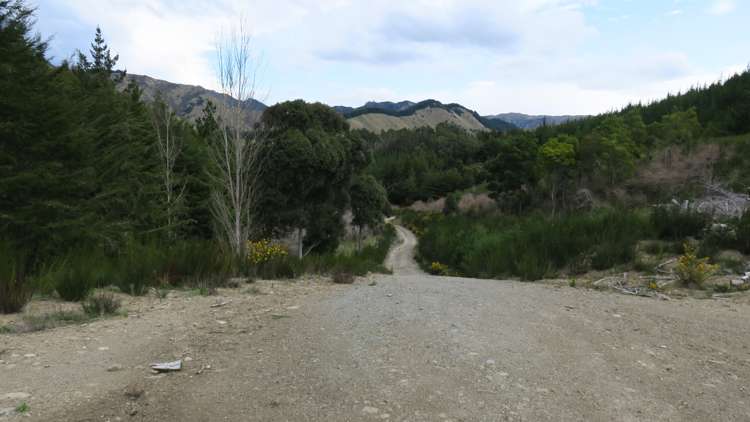 945 Taylor Pass Road Blenheim_9