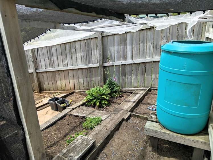 9 Northcoast Place Mangawhai Heads_15