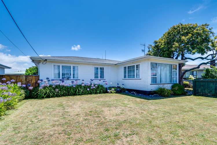 66 Masefield Avenue Maraenui_16