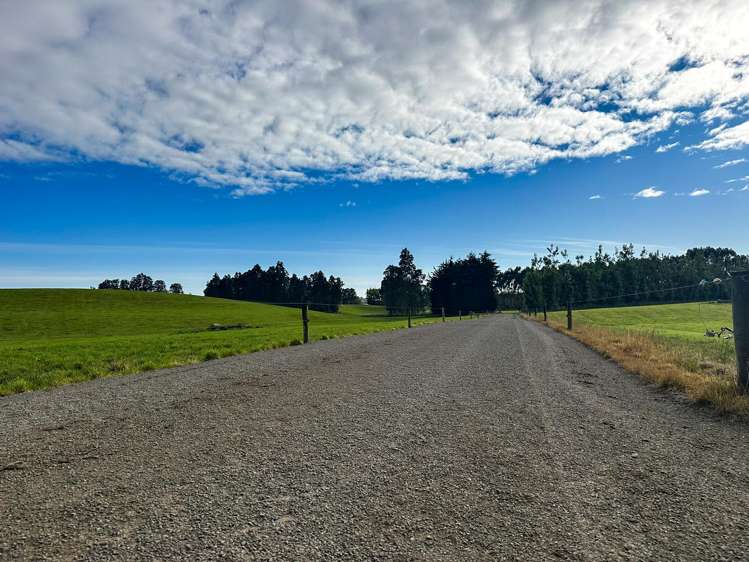 318 Waipango Ermedale Road Gummies Bush_20