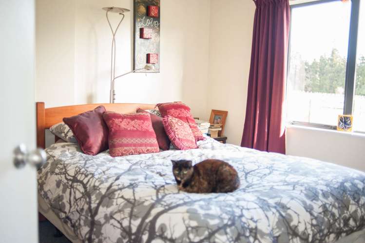 105 O'Shea Road Pirongia_4