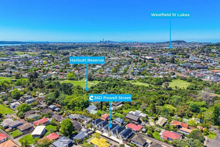 36D Powell Street Avondale_28