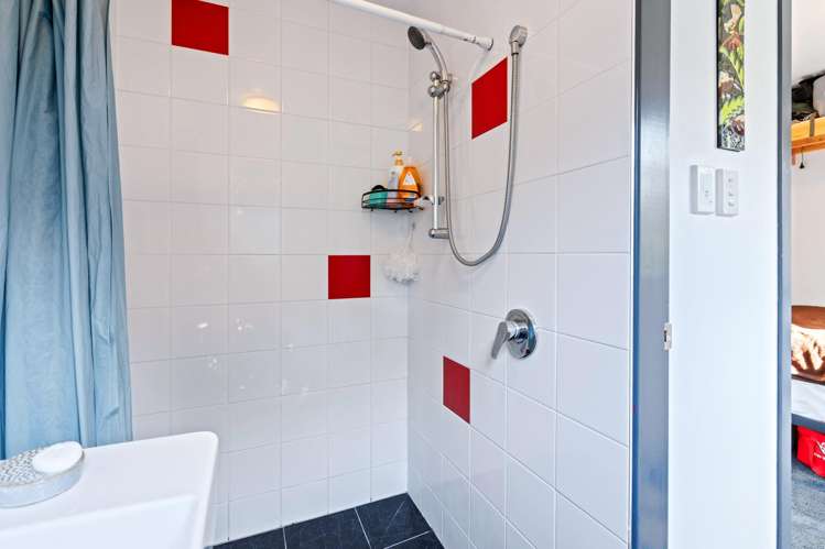 10 Ryan Street Portobello_12