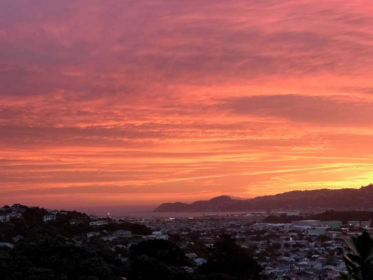 57 Nevay Road Miramar_14