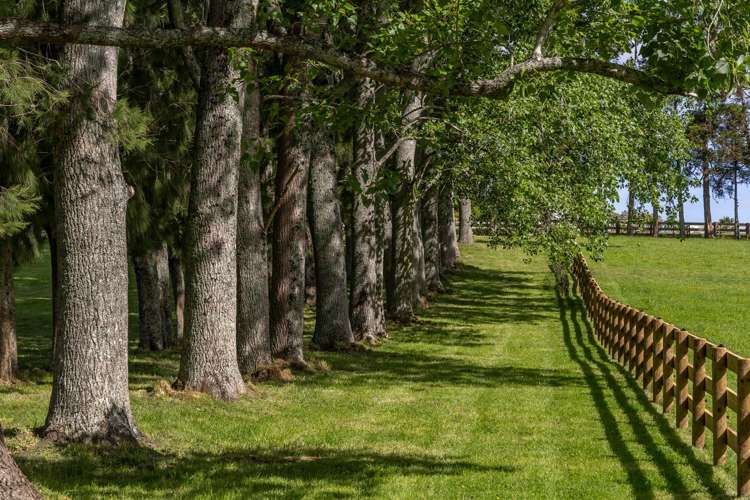 713 Ararimu Valley Road Waimauku_3