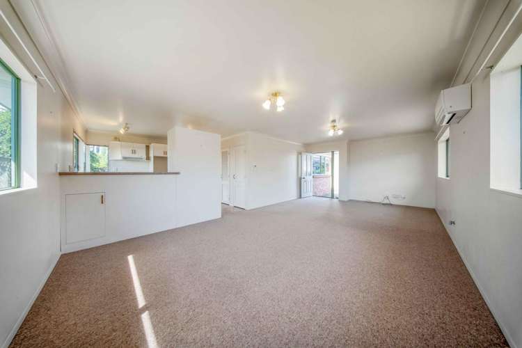 723C Cameron Road Tauranga South_6