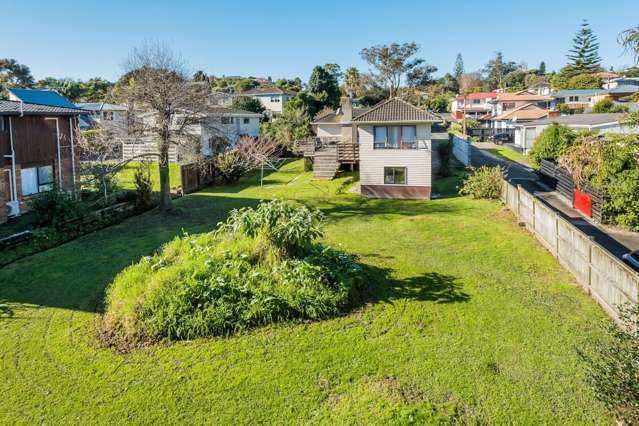 45 Selwyn Crescent Forrest Hill_3