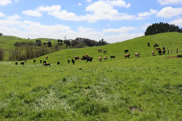 121 Tarata Road Inglewood_4