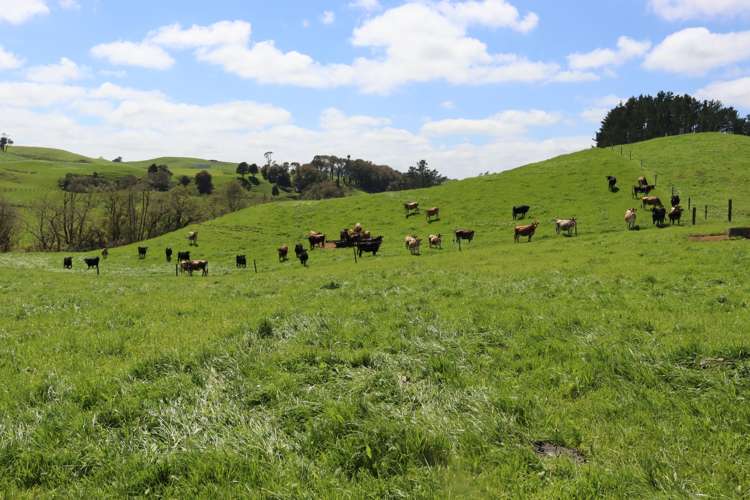 121 Tarata Road Inglewood_4