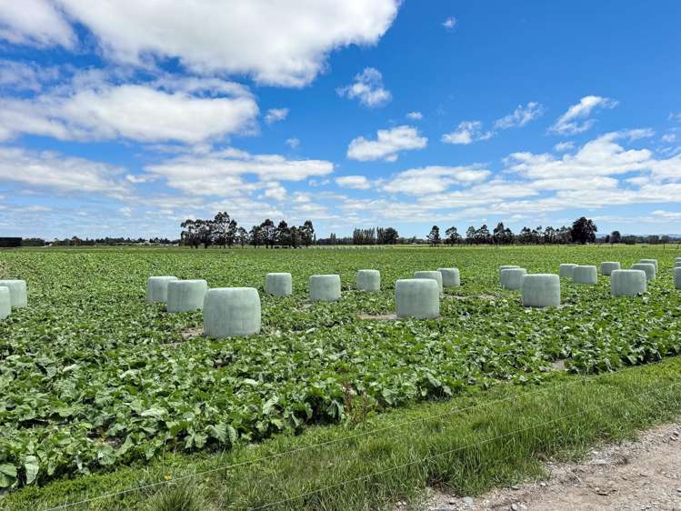 545 Coal Pit Wyndham_8